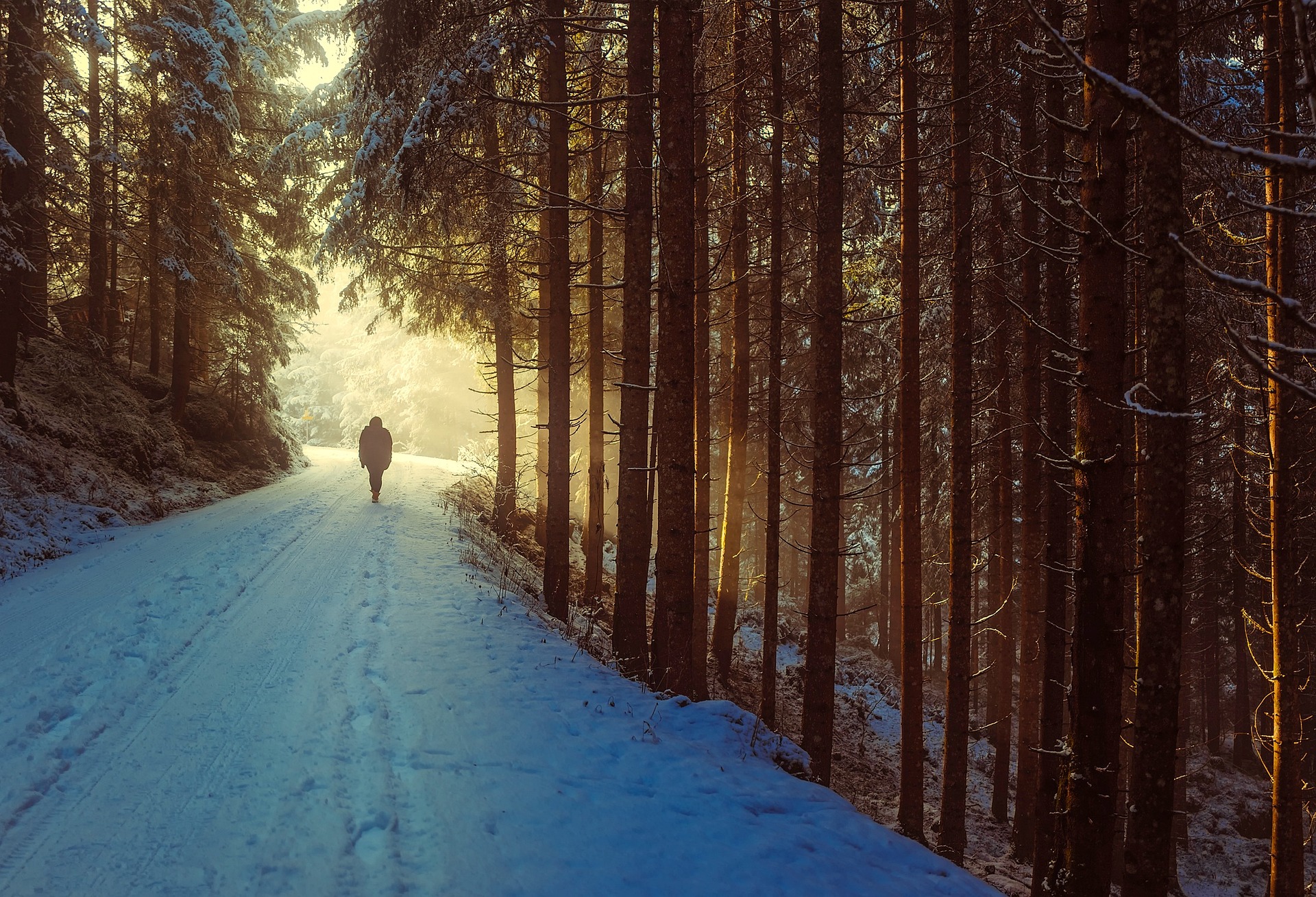 A man hiking through a snowy path in the forest