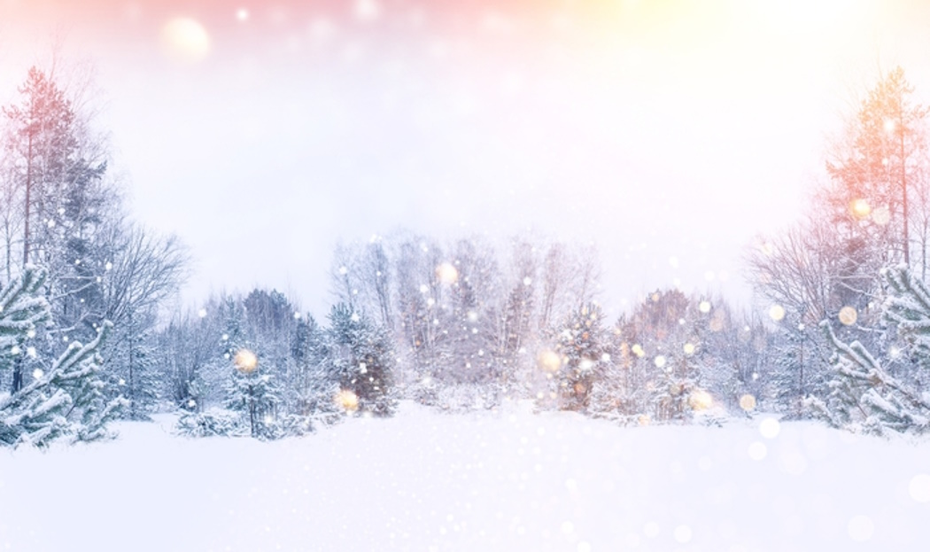 A beautifully-lit winter landscape